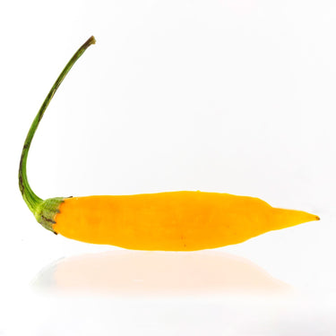 Aji Mango Pepper Seeds - The Pepper Pantry (Formerly Marie Sharp's)